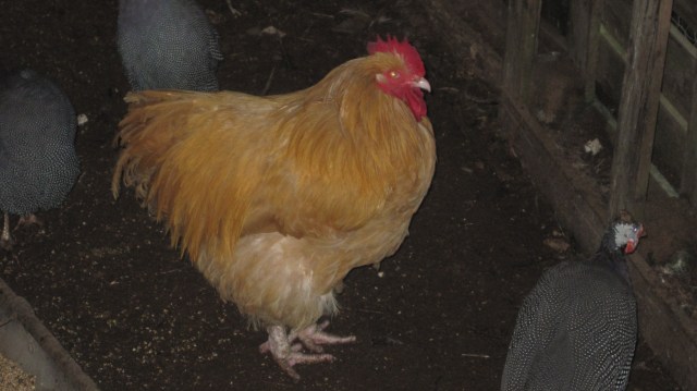 Our new alarm clock