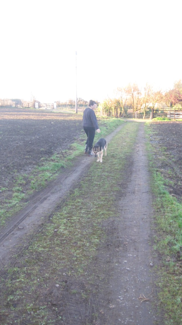 Walking from the stables to Mary's house accompanied by Bella the lovely shepard