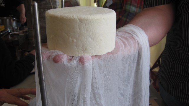 cheese and bees 052