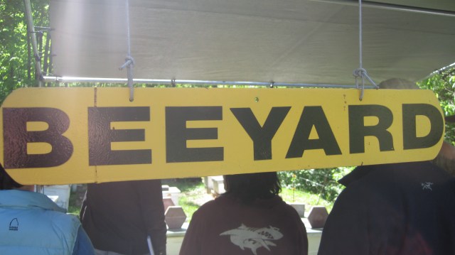 cheese and bees 077