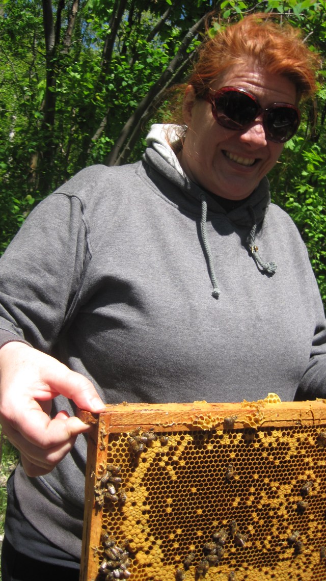 cheese and bees 089