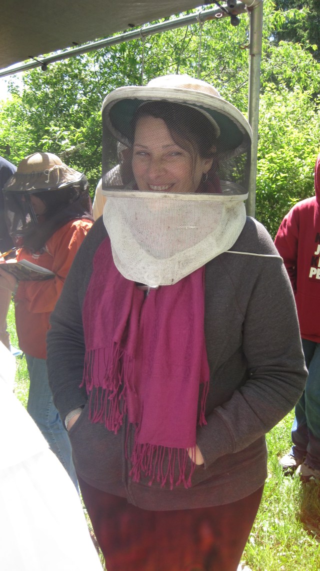 cheese and bees 093