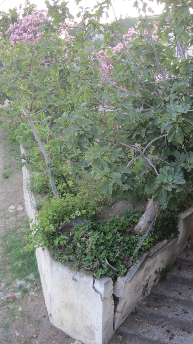 wall before view from above