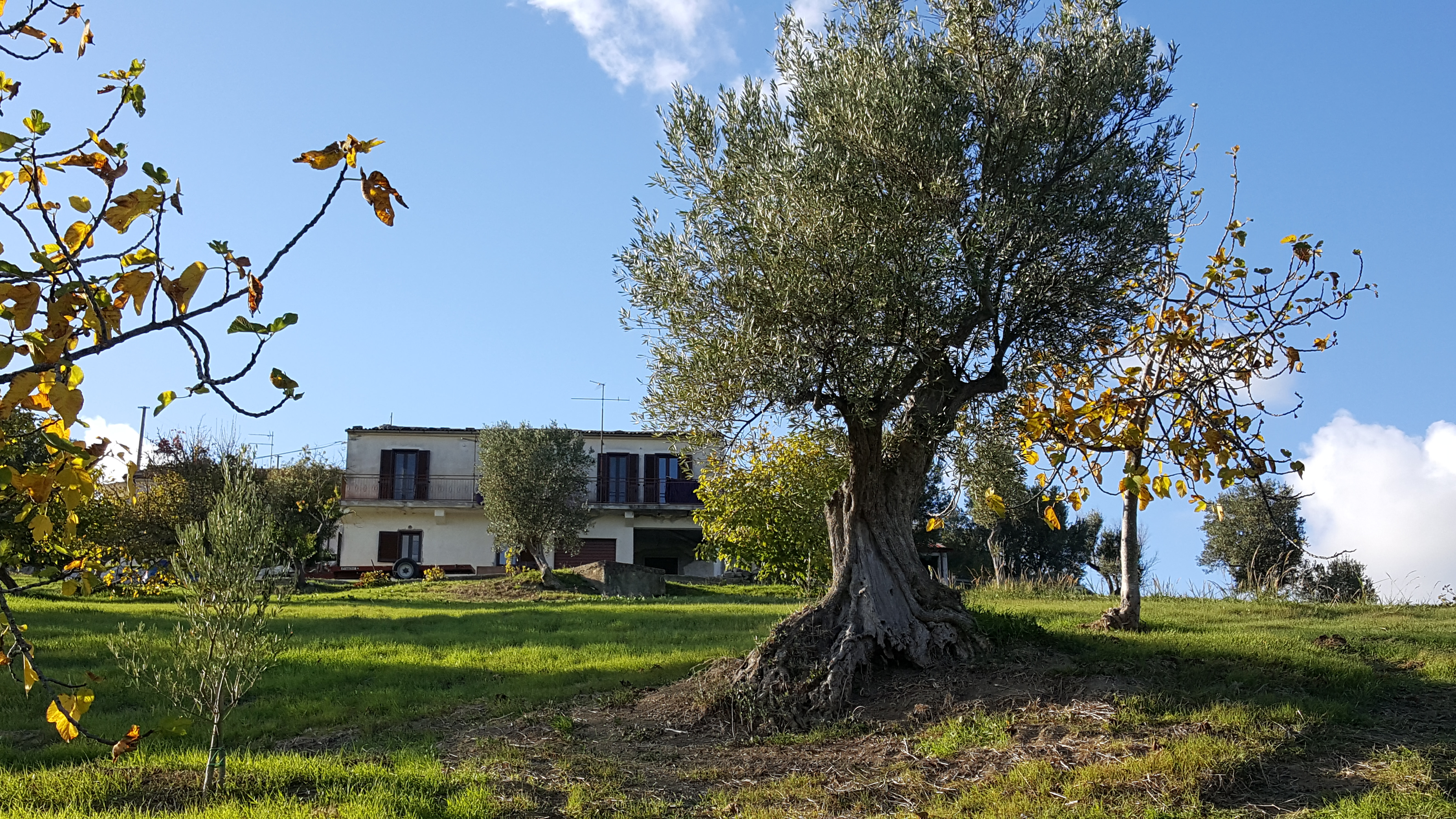 house autumn 2017
