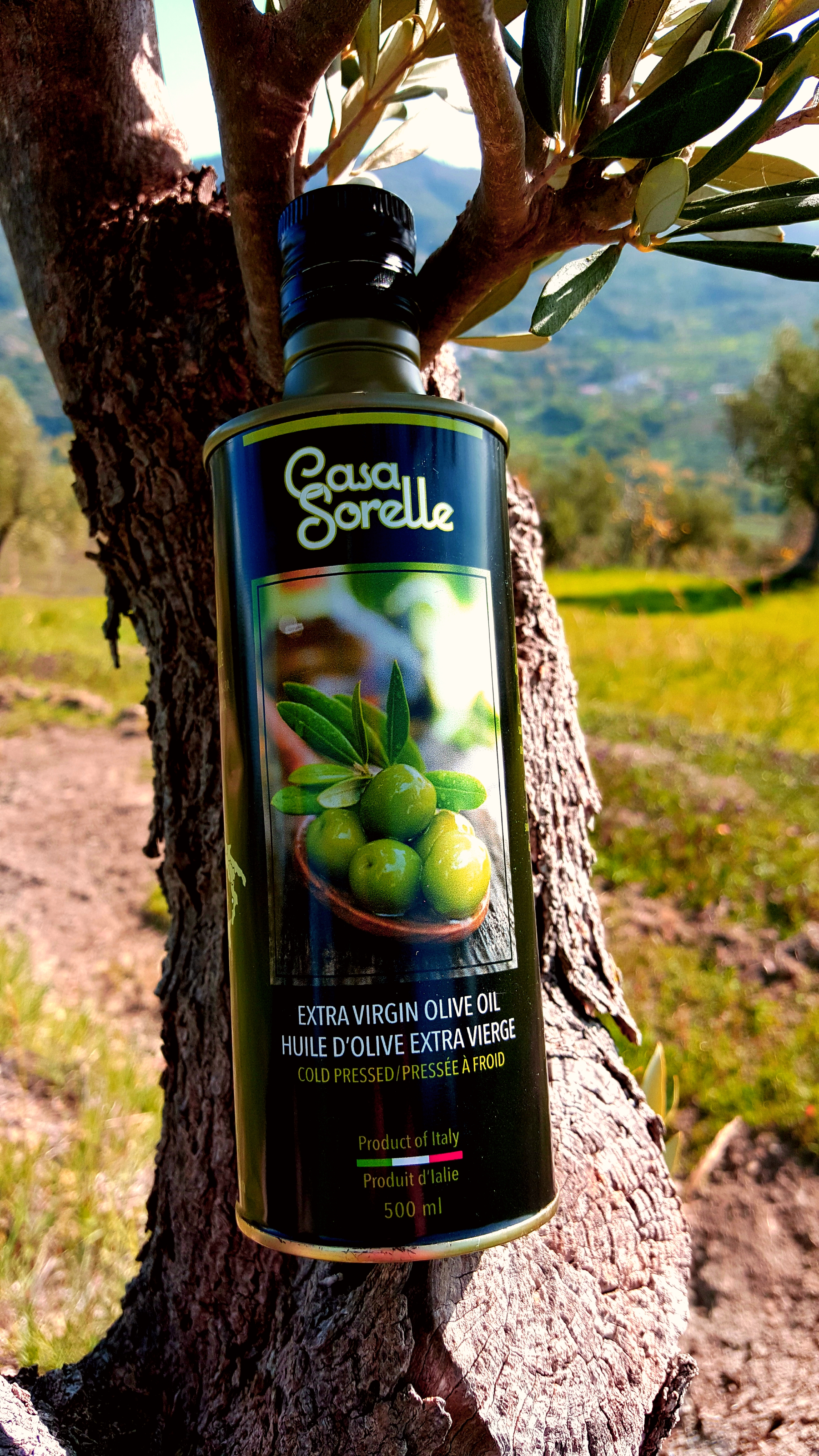 oil in the tree
