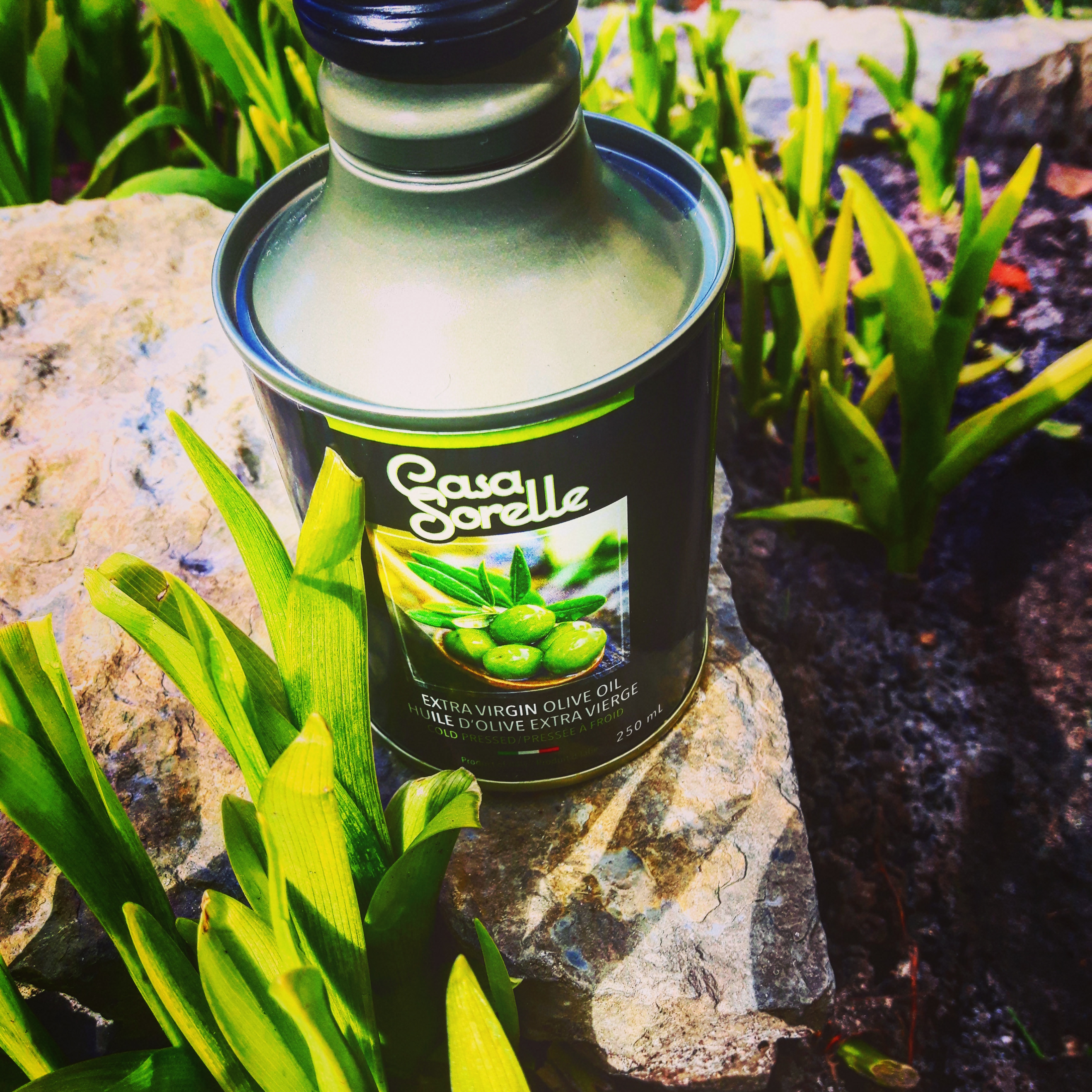 bottle on rock